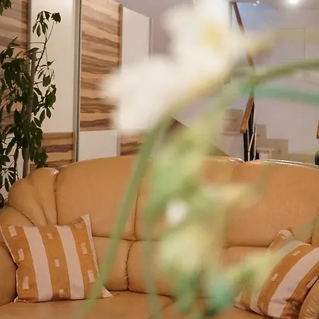 Duplex Tinel Apartment *