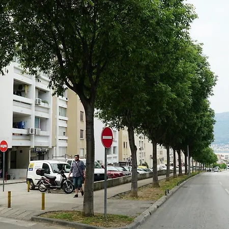 Duplex Tinel * Split