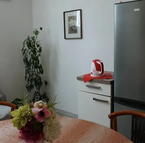 Duplex Tinel דירה ספליט