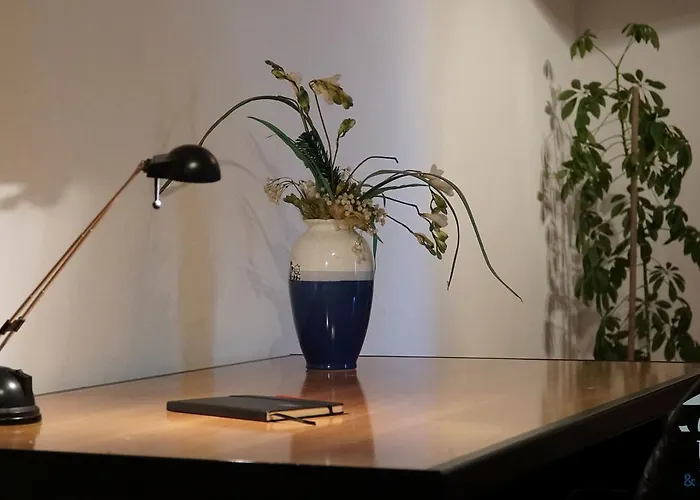 דירה Duplex Tinel *